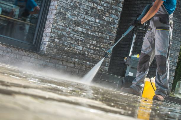 Best Driveway Pressure Washing  in Lake Waccamaw, NC